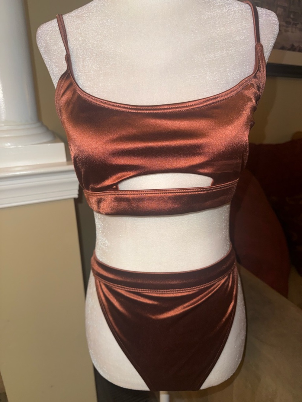 NWT Windsor Copper Cut Out Bikini Set
